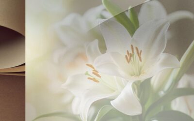 Parola e Carisma – 26 aprile 2026
