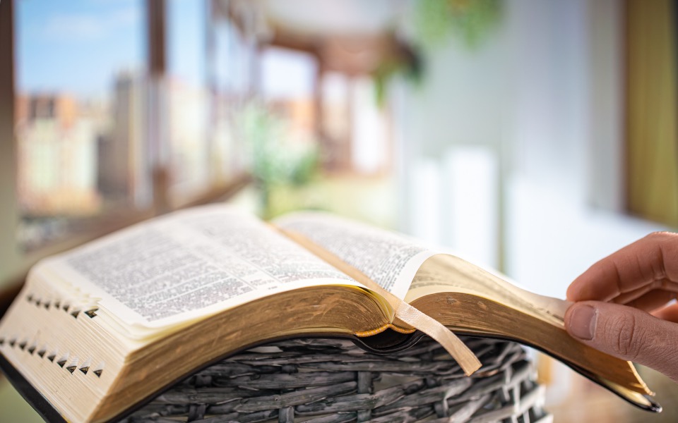 IMMAGINI PER SITO – articoli – week and parola e esercizi
